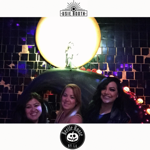 beetle house la